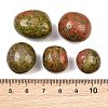 Natural Unakite Beads GG-CBAD0F6-A05-01-2