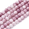 Ombre Effect Dyed Glass Beads Strands X-GLAA-T031-01O-11-1