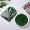 Glass Seed Beads SEED-A004-2mm-7-4