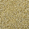 MIYUKI Delica Beads X-SEED-J020-DB1212-3