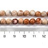 Dyed Natural Regalite/Imperial Jasper/Sea Sediment Jasper Beads Strands G-B124-C02-10-3