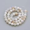 Natural Fire Crackle Agate Beads Strands G-S249-09-8mm-2