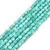 Natural Freshwater Shell Beads Strands SHEL-N003-33-A04-1
