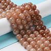 Round Natural Sunstone Beads Strands G-F222-33-8mm-1-5