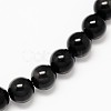 Grade AA Natural Obsidian Round Beads Strands X-G-L275-03-10mm-1