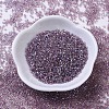 MIYUKI Delica Beads X-SEED-J020-DB0173-2