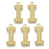 Alloy Pendants X-PALLOY-N157-002I-NR-1