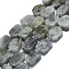 Natural Labradorite Beads Strands G-K245-J21-01-1