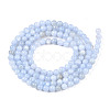 Natural Freshwater Shell Beads Strands X-BSHE-T009A-01F-2