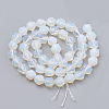 Opalite Beads Strands G-S332-10mm-004-3