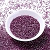 MIYUKI Delica Beads SEED-X0054-DB1880-2