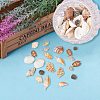 Mixed Natural Shell Bead Sets BSHE-PH0003-03-5