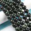 Natural Serpentine Beads Strands G-P504-10mm-01-2