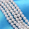 Natural Cultured Freshwater Pearl Beads Strands PEAR-L001-F-07-1