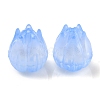 Transparent Acrylic Beads OACR-K005-13-3