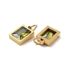 PVD Vacuum Plating 304 Stainless Steel Pendants STAS-D189-03G-B05-3