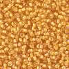 TOHO 8/0 Round Beads SEED-XTR08-0949-2