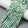 Natural Chrysoprase Beads Strands G-G195-A02-03-1