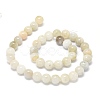 Natural Rainbow Moonstone Beads Strands G-O201A-17C-2