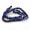 Natural Sodalite Round Beads Strands G-N0120-19-4mm-2