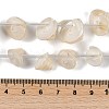 Natural Shell Beads Strands SHEL-K009-11-4