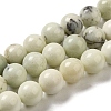 Natural Dendritic Jasper Beads Strands G-H298-A15-03-1