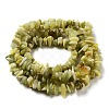 Natural Lemon Jade Chip Bead Strands G-M205-22-9