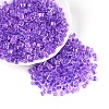 Transparent Inside Colours Glass Seed Beads SEED-T007-11B-3