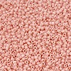 MIYUKI Delica Beads SEED-JP0008-DB1513-3