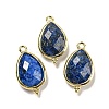 Natural & Synthetic Mixed Gemstone Faceted Pendants G-M431-15G-2