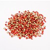 Back Plated Grade A Diamond Glass Pointed Rhinestone LS-RGLA-SS16-019-2