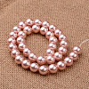 Polished Round Grade A Shell Pearl Bead Strands BSHE-M027-6mm-23-2