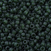 MIYUKI Round Rocailles Beads SEED-X0054-RR0156F-3