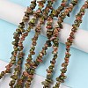 Natural Unakite Beads Strands G-G0003-B13-2