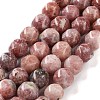 Natural Plum Blossom Jasper Beads Strands G-NH0021-A20-02-2