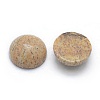 Natural Picture Jasper Cabochons G-P393-R51-8MM-2