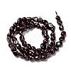 Natural Garnet Beads Strands G-G018-22-3