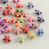 Craft Style Acrylic Beads MACR-Q153-M028-1