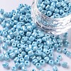 6/0 Glass Seed Beads X1-SEED-A012-4mm-123-1