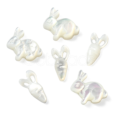 6Pcs 2 Styles Natural White Shell Beads BSHE-CJ0001-05-1