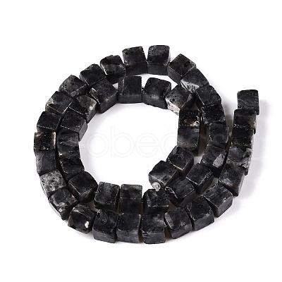 Natural Larvikite Beads Strands G-T139-8x8-25A-1