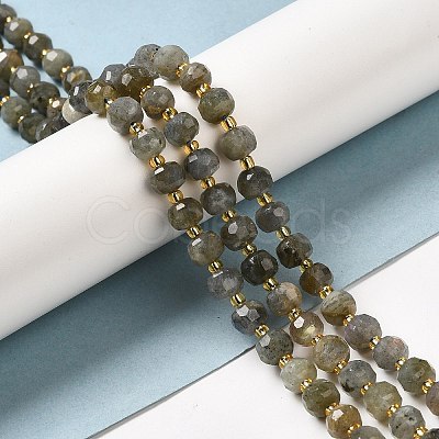 Natural Labradorite Beads Strands G-P508-A20-01-1