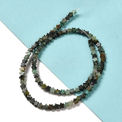 Natural African Turquoise(Jasper) Beads Strands G-G085-B06-01-1