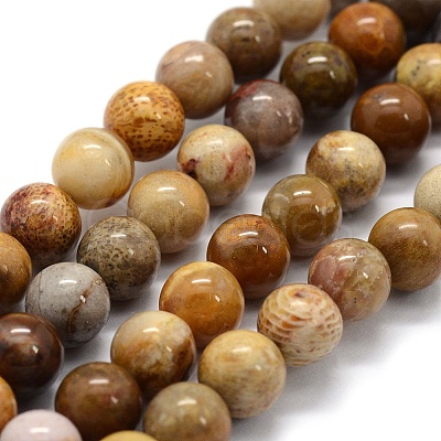 Natural Fossil Coral Beads Strands G-G763-12-12mm-1
