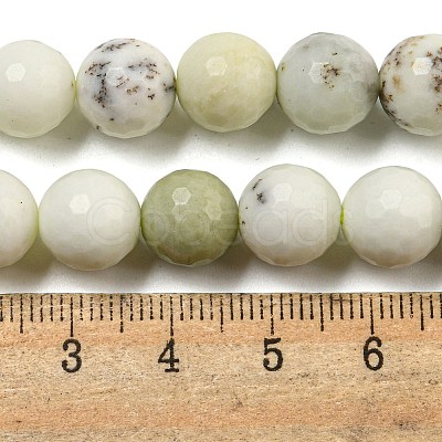 Natural Dendritic Jasper Beads Strands G-E571-A05-03-1