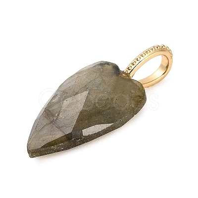 Natural Labradorite Pendants G-C290-01D-1