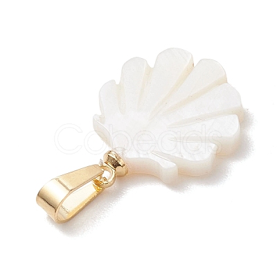 Natural Freshwater Shell Pendants PALLOY-JF05137-02-1