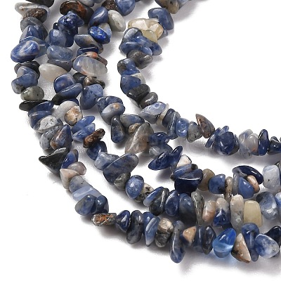 Natural Sodalite Chips Beads Strands X-F024-1