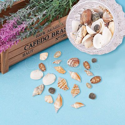 Mixed Natural Shell Bead Sets BSHE-PH0003-03-1