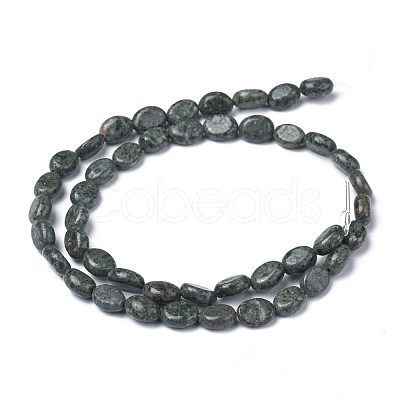 Natural Crocodile Skin Jasper Beads Strands G-Z006-A05-1